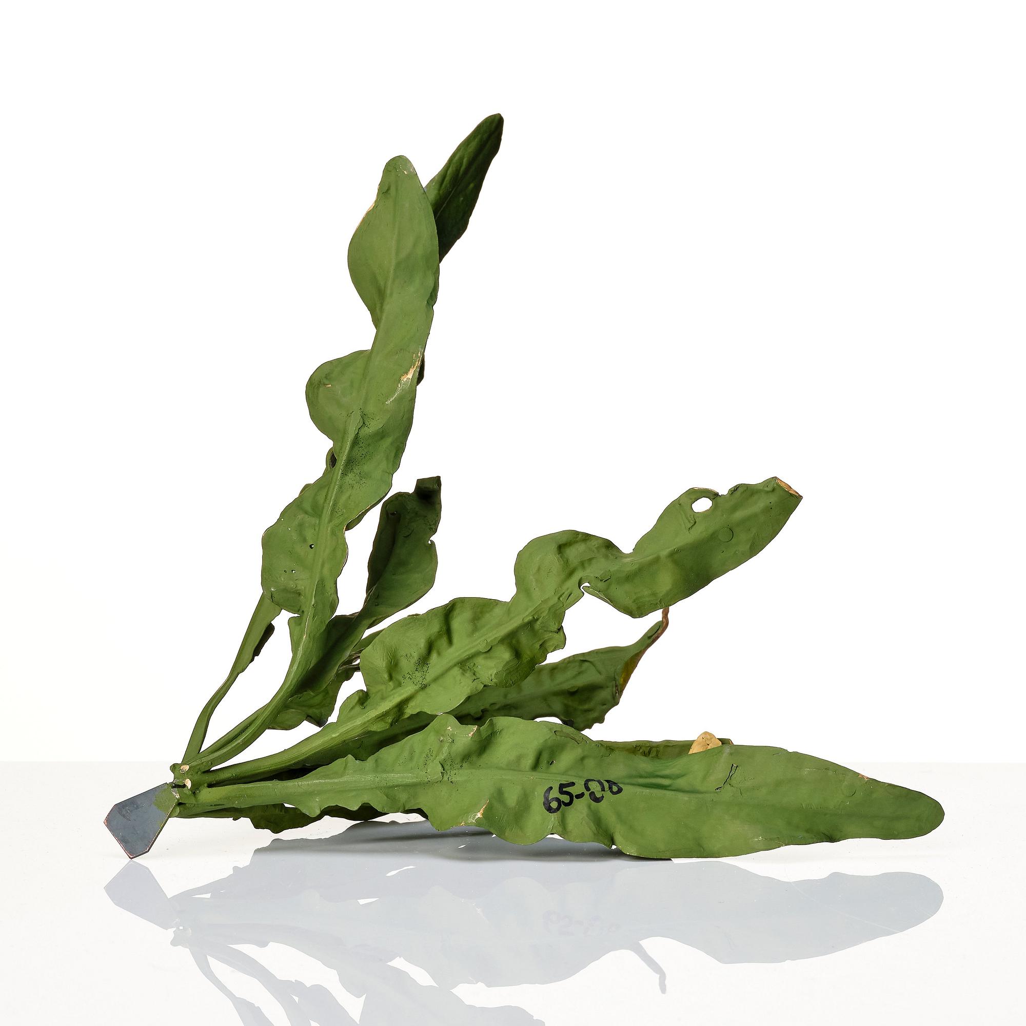 Tony Matelli, "Weed #65".