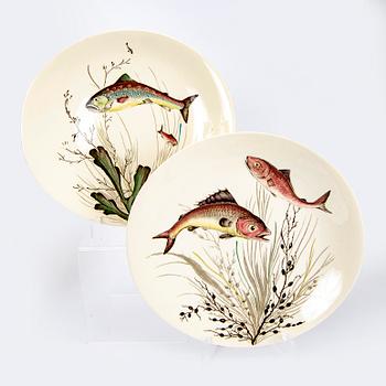 A Johnson Bros "Fish" 8 pcs dinner service.