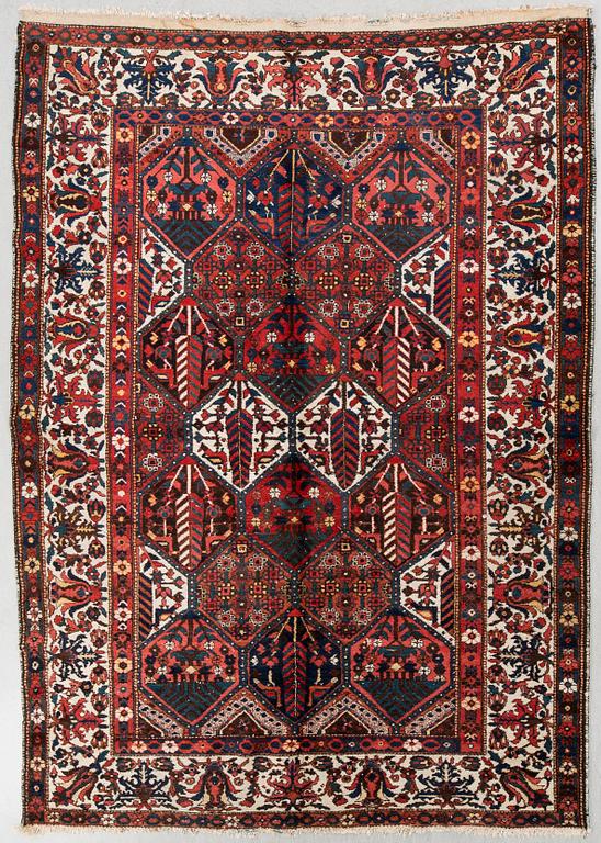 Matta, Bakthiari, 308 x 218 cm.