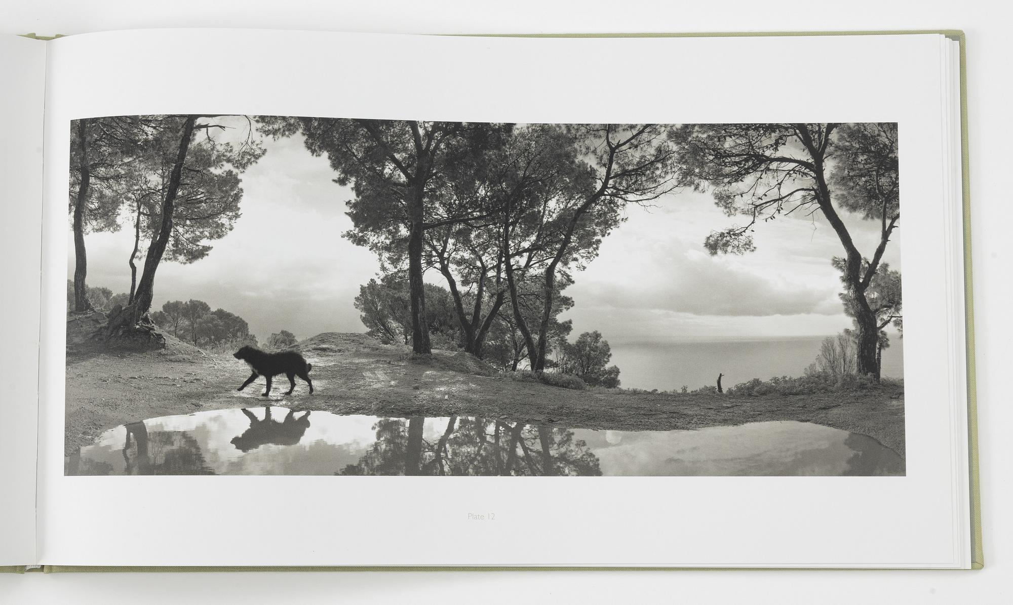 Pentti Sammallahti, "Sammallahti".