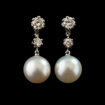 15. A pair of pearl and diamond earring.