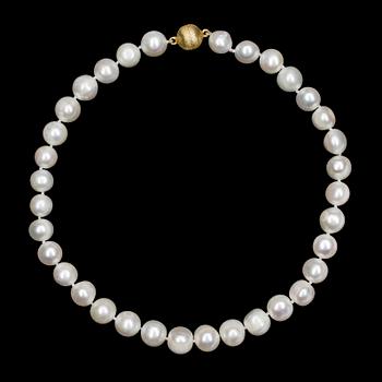 COLLIER, odlade kinesiska sötvattenspärlor med magnetlås i förgyllt silver.