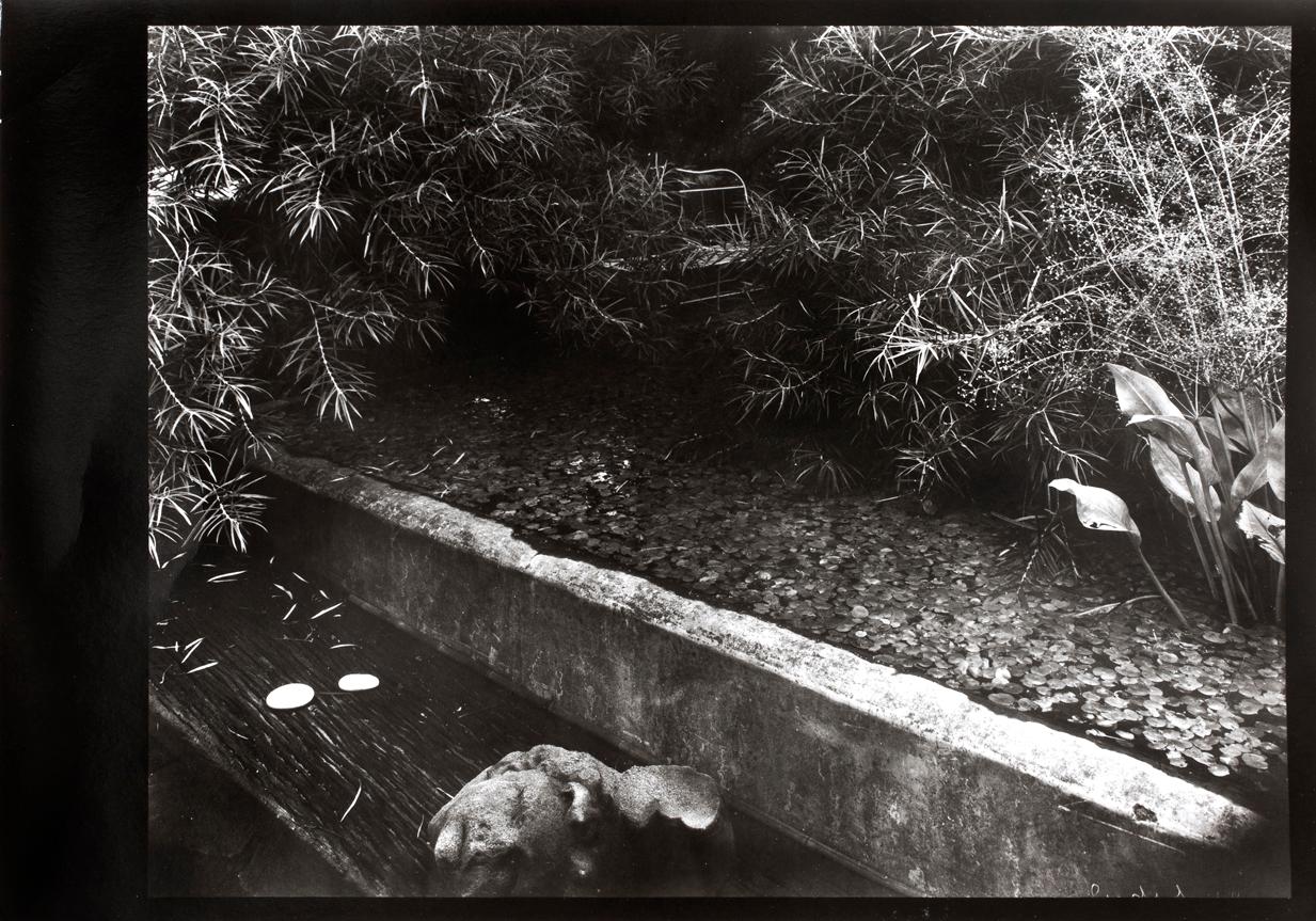 JOSEF SUDEK, silver gelatin fotografi, nummer 12/18 ur Mappen "Profily", från 1980.