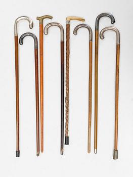 A set of eight canes, frist half of the 20th Century. (6 of them with silver details).