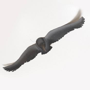 Peter Tillberg, Crow.