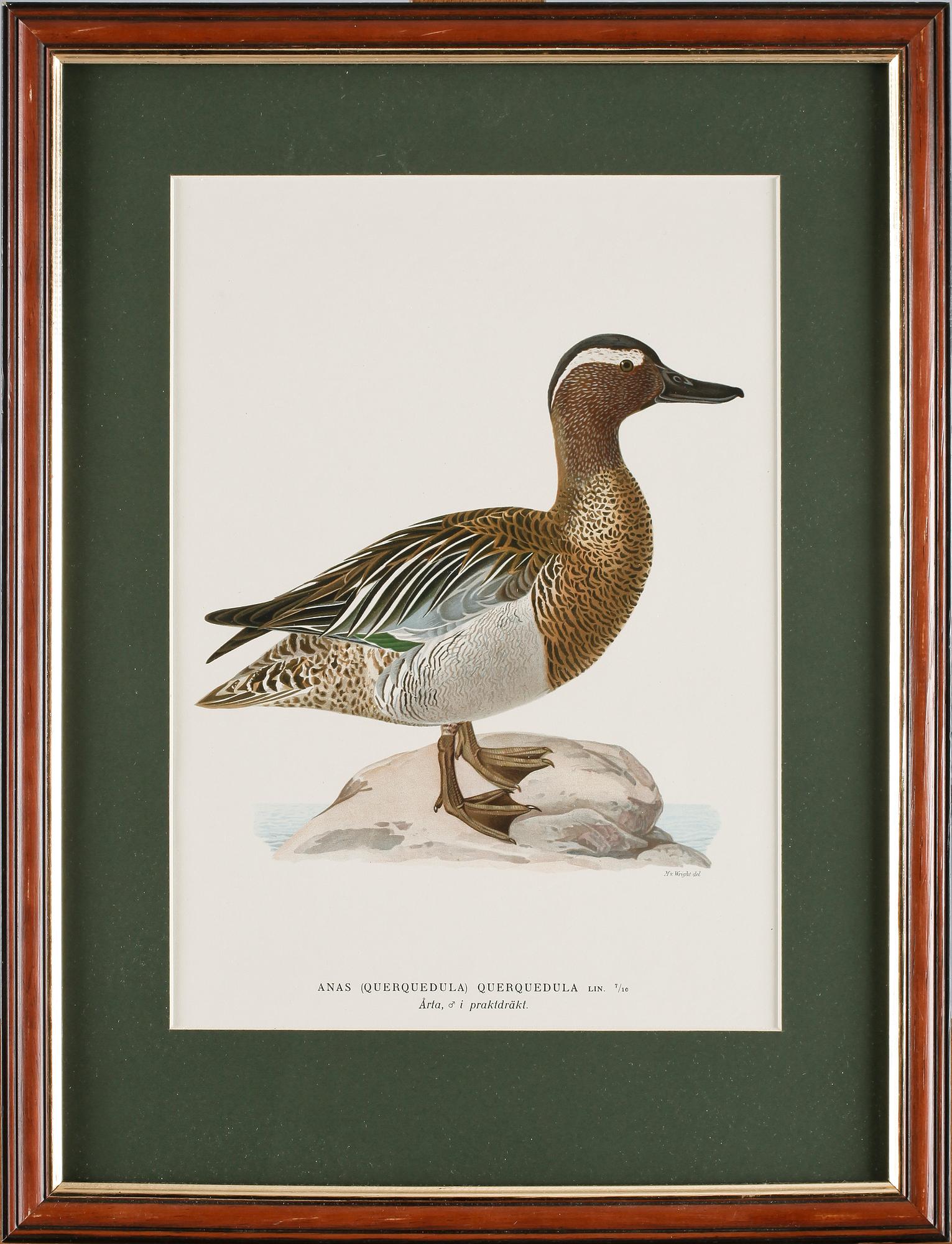 PARTI LITOGRAFISKA TRYCK, 4 st, efter Wilhelm von Wright, 1900-tal.