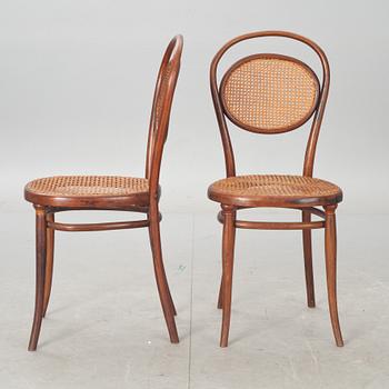 STOLAR, 6 st, Thonet, 1900-talets första del.