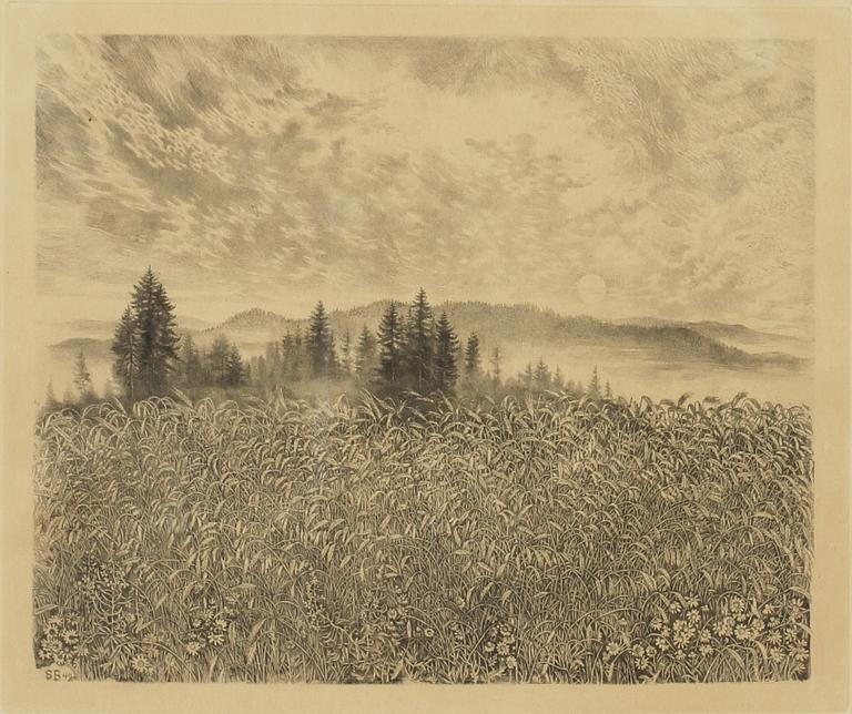 STIG BORGLIND, etsning. Sign.