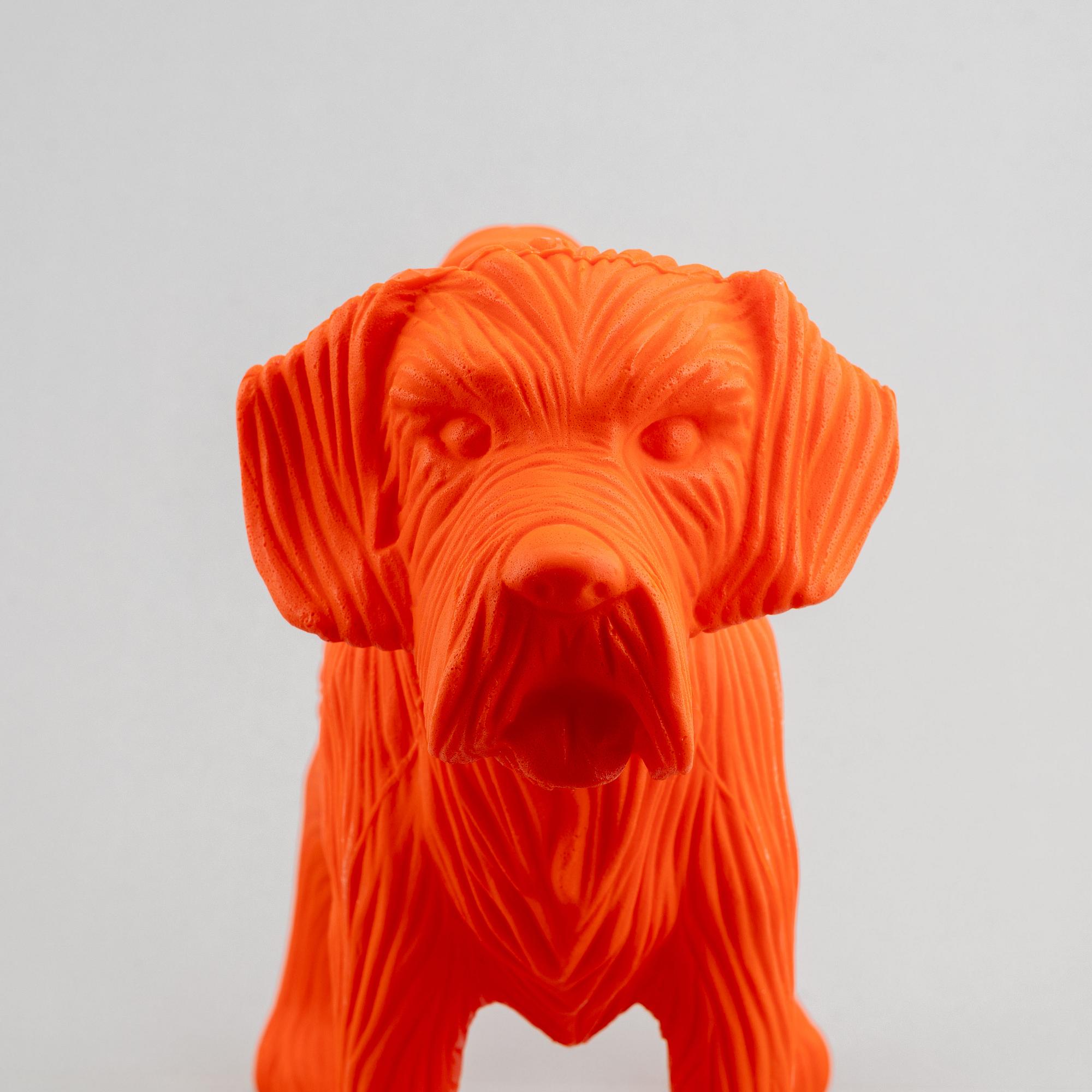 William Sweetlove,  "Cloned Schnauzer with water bottle". (Orange).