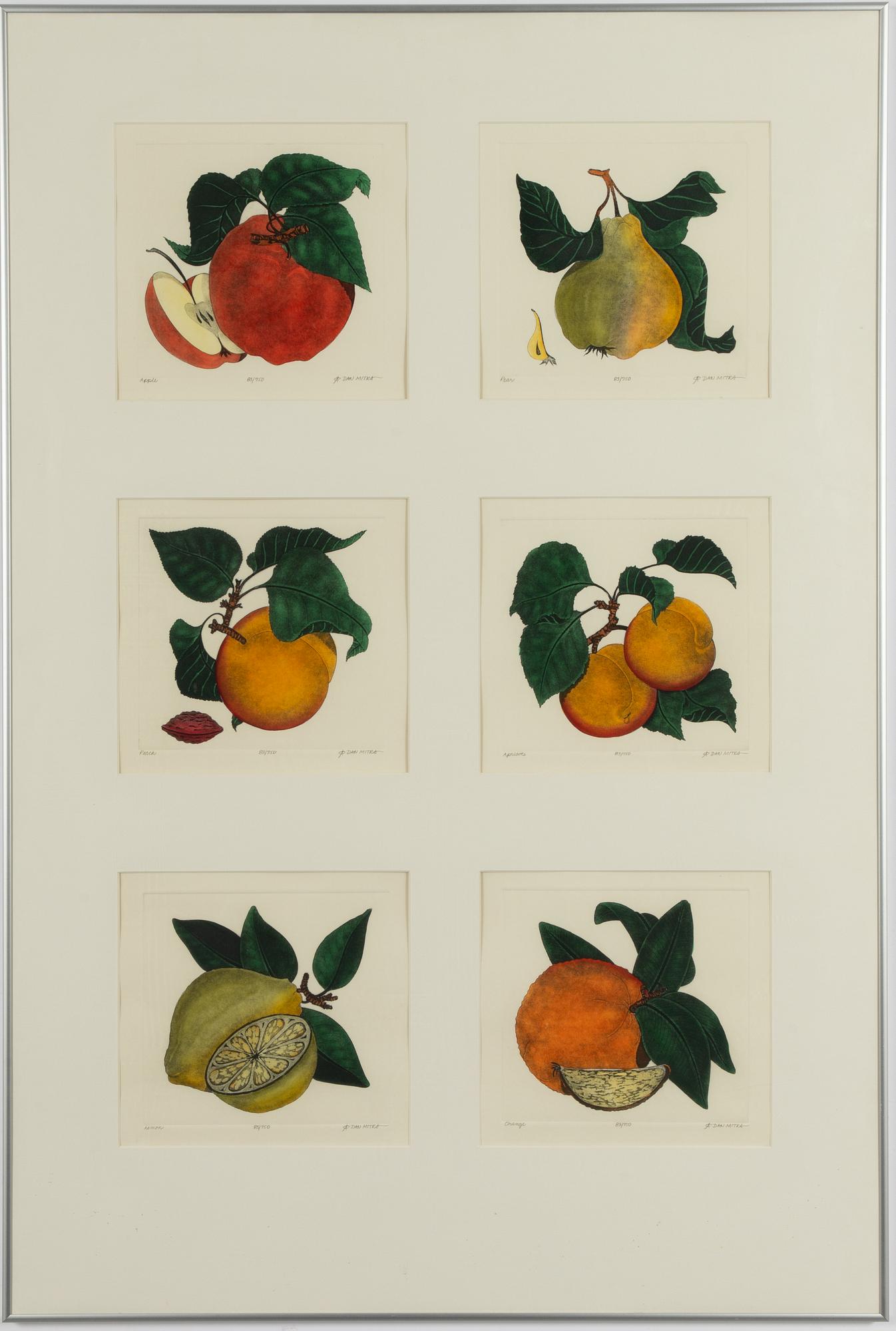Dan Mitra, a suite of six etchings, framed together.