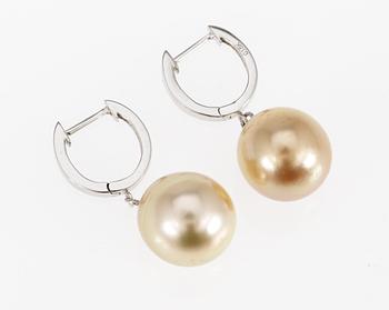 618. EARRINGS, set with cultured golden South sea pearls, app. 12 mm.