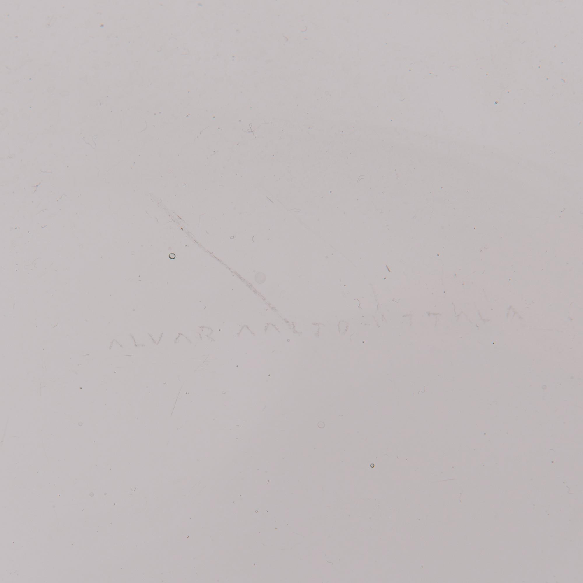 ALVAR AALTO, GLASS SCULPTURE, 4 PIECES. The Aalto Flower. Signed Alvar Aalto. Iittala 1950/60s.