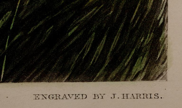 JOHN FREDERICK HERRING, SR., efter, kolorerad gravyr, gravör J. Harris. England, 1852.