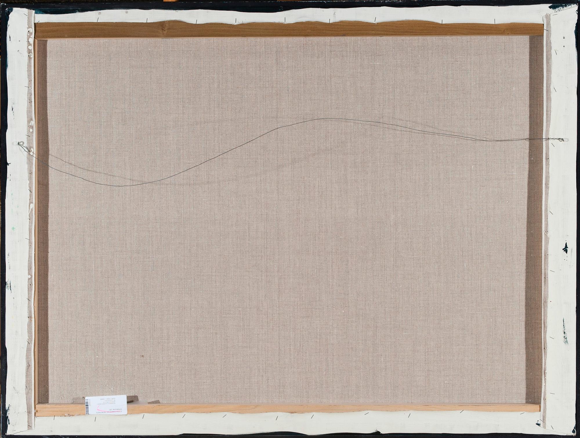 Anna Kaarina Nenonen, "OMAKUVA - PALLO HUKASSA".