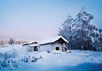 Taneli Eskola, "NAAPURIVAARA, SOTKAMO 2010".