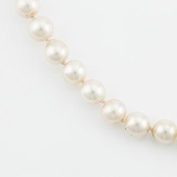 A necklace of cultured pearls without a clasp.