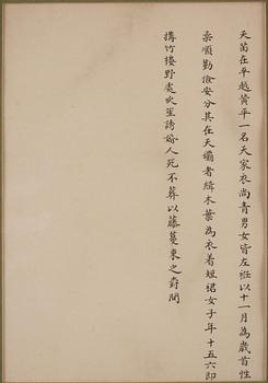 Two Chinese paintings, by unidentified artist, Qing dynasty.