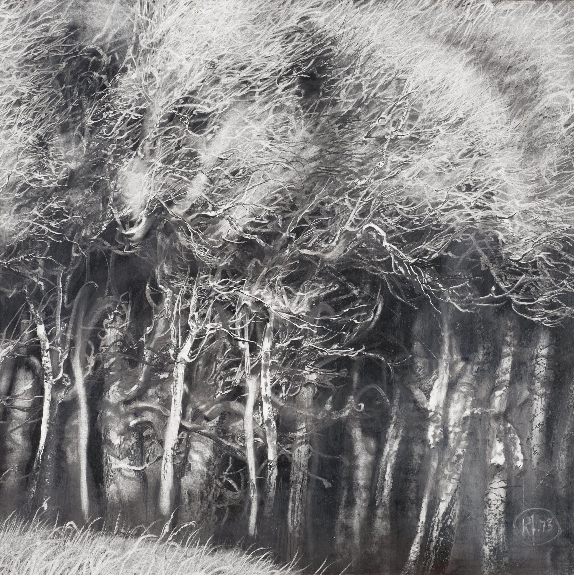 Roj Friberg, Untitled.