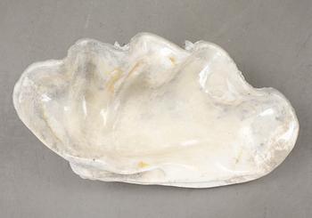 MUSSLA, fossil.