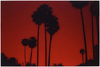 155. Natalia Mikkola, ”Malibu Sunset”, 2019.