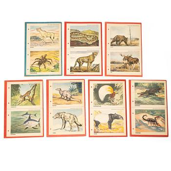 Comic books, 21 pieces, “Tarzan”, 1952.