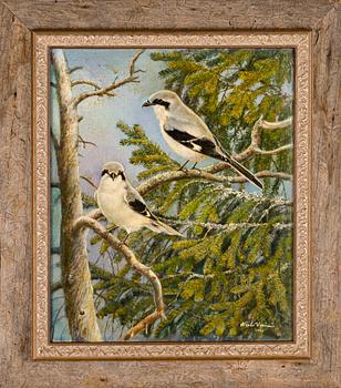 NIILO VAINIO, öljy kankaalle, pingotettu levylle, signeerattu ja päivätty 2001.