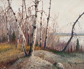 574. Ejnar Kohlmann, BIRCHES.