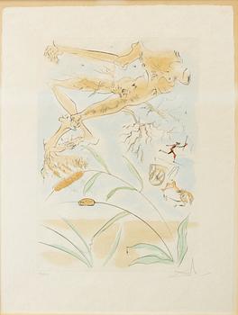 Salvador Dalí, "Le Chêne et le roseau".
