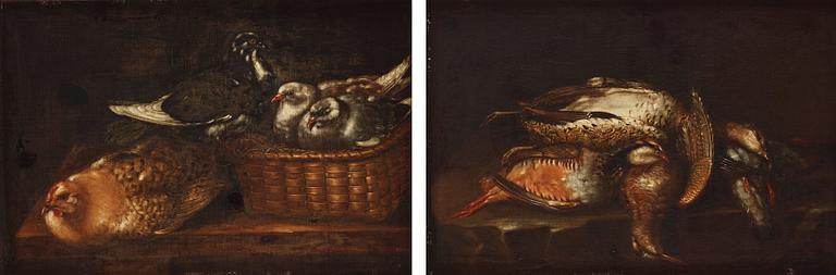 Spanish school, 17/18th Century, Still life with birds in nest / dead birds.