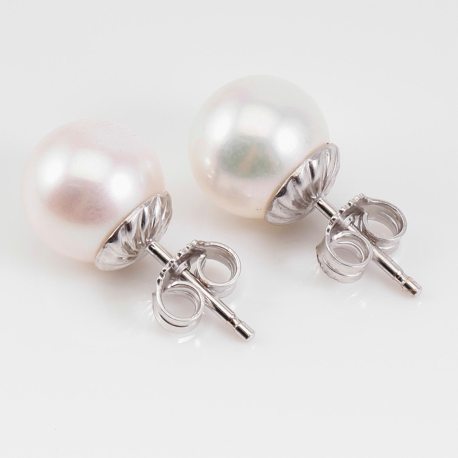 ÖRHÄNGEN, 1 par, 18K vitguld och odlade pärlor.