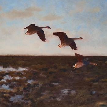 Bruno Liljefors, Geese.