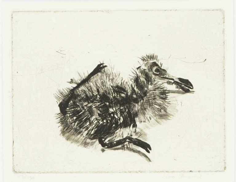 Lena Cronqvist, "Måsunge".