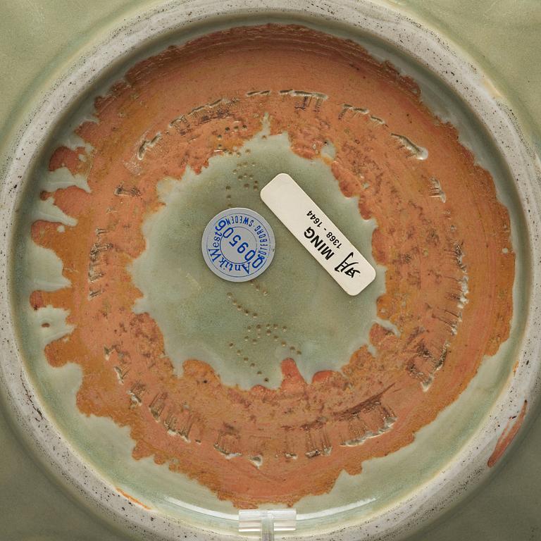 A celadon glazed dish, Ming dynasty (1368-1644).