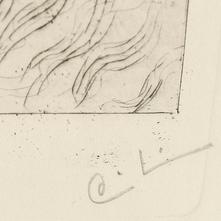 CARL LARSSON, etching, signed C.L. in pencil. Executed 1911. State 2. Rare. "Anna Stina (Fru Alkman, f. Rydell)".