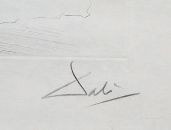 SALVADOR DALÍ, färgetsning på japanpapper, signerad och numrerad XXXVIII/LXXV.