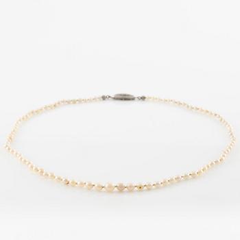 Pearl necklace, graduated pearls, clasp silver with pyrite.