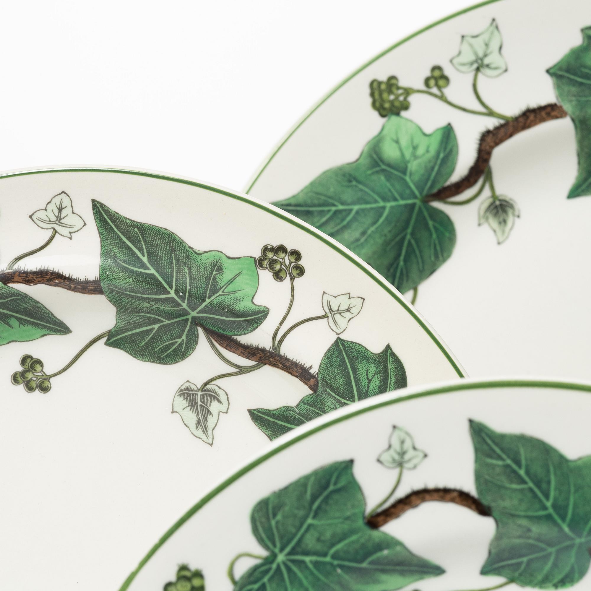 48 pcs of 'Napoleon Ivy' service Wedgewood.