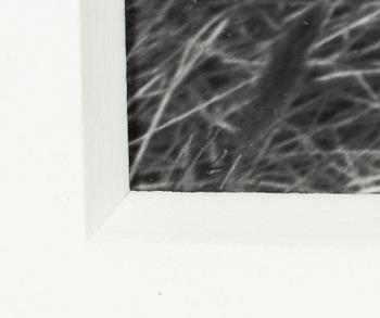 John-E Franzén, Untitled, 1984.