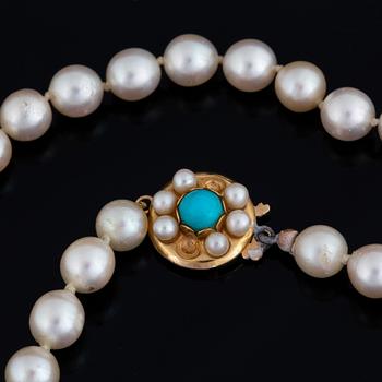 Cultured pearl necklace.
