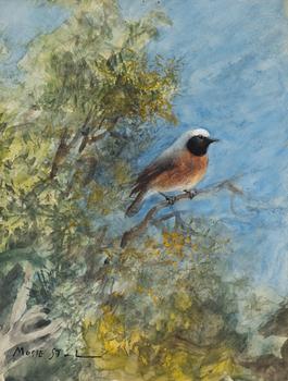 Mosse Stoopendaal, akvarell, signerad.