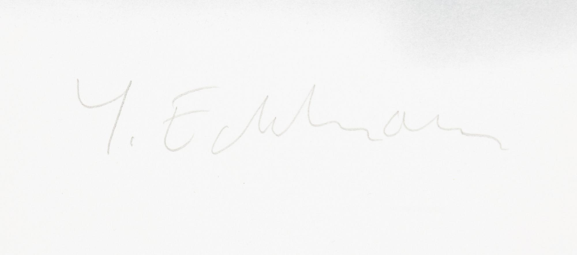 Yrjö Edelmann, "Stringed case of lemons I".