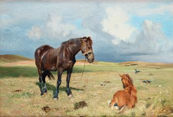 583. Vilhelm Theodor Fischer, Horses on a field.