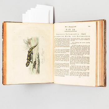 BOOK, with hand coloured dry needle engravings.