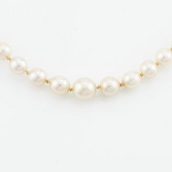 A cultured pearl necklace with a silver clasp.