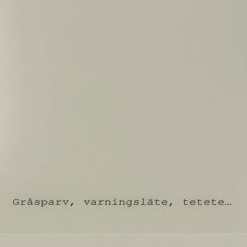 Anna Ling, akvarell och maskinskrift på papper, utfört 2003.