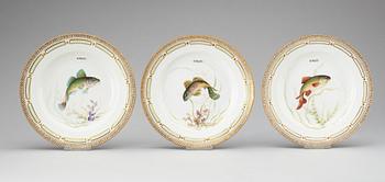 A set of 22 Royal Copenhagen 'Fauna Danica' dinner plates, 20th Century.