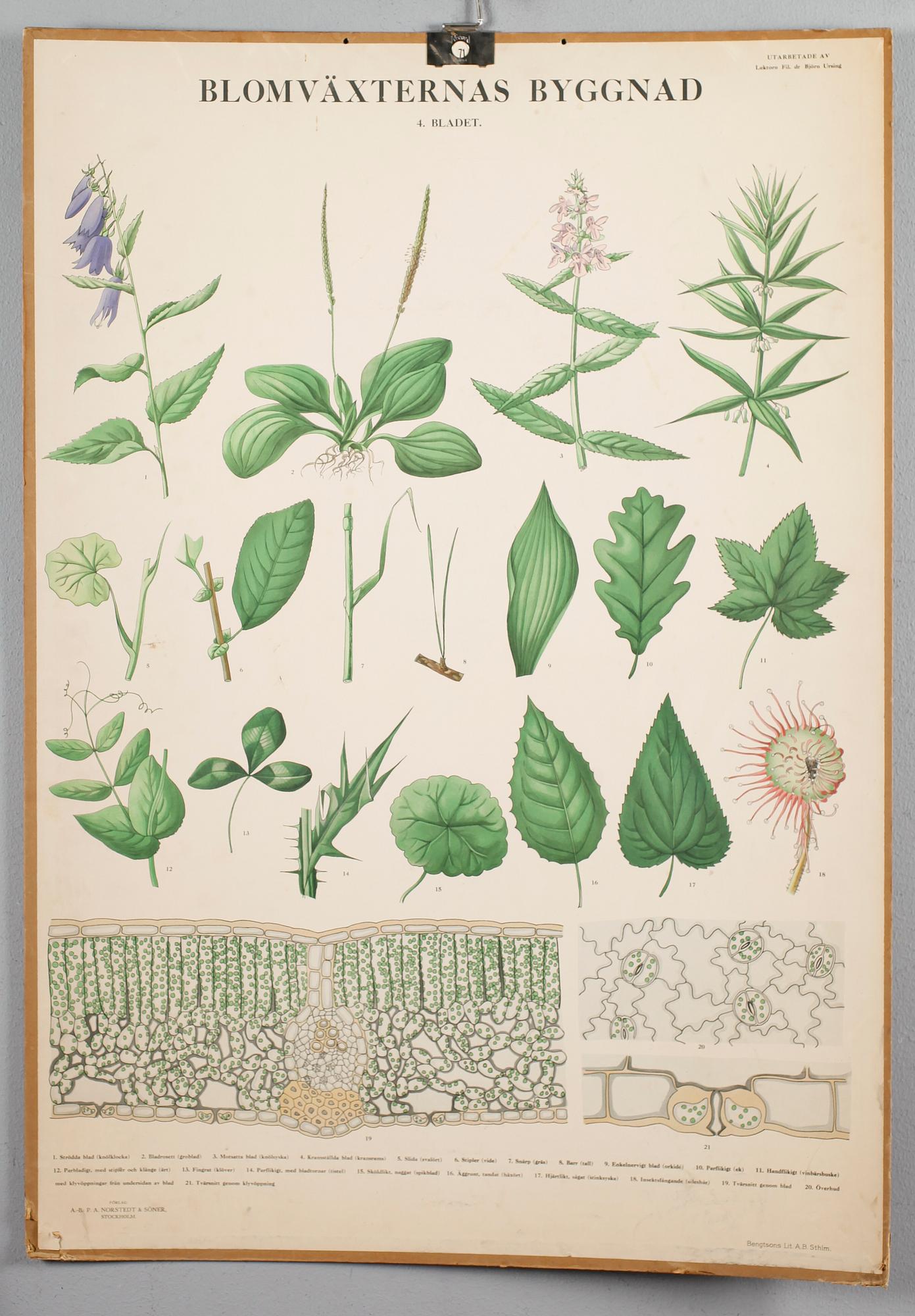 SKOLPLANSCHER, 4 st, 1900-talets mitt.
