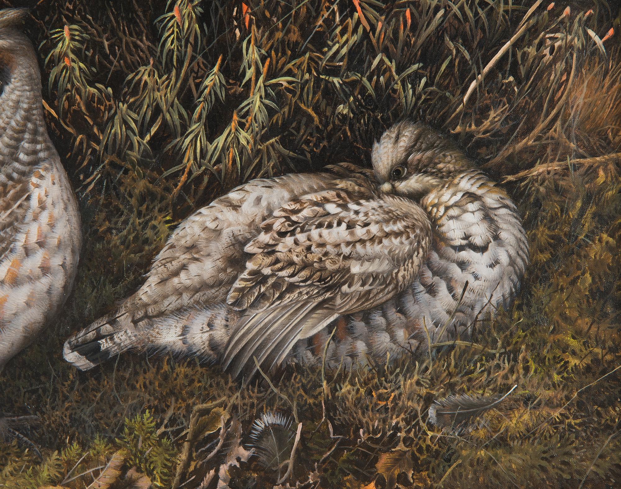Teppo Terä, Bird pair in Forest.
