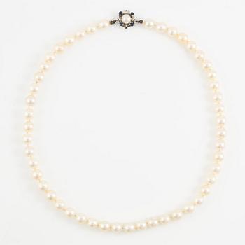 Pärlcollier, med odlade pärlor, med lås 18K vitguld med safirer.