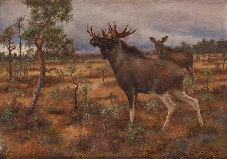 Axel Borg, Moose in autumn landscape.